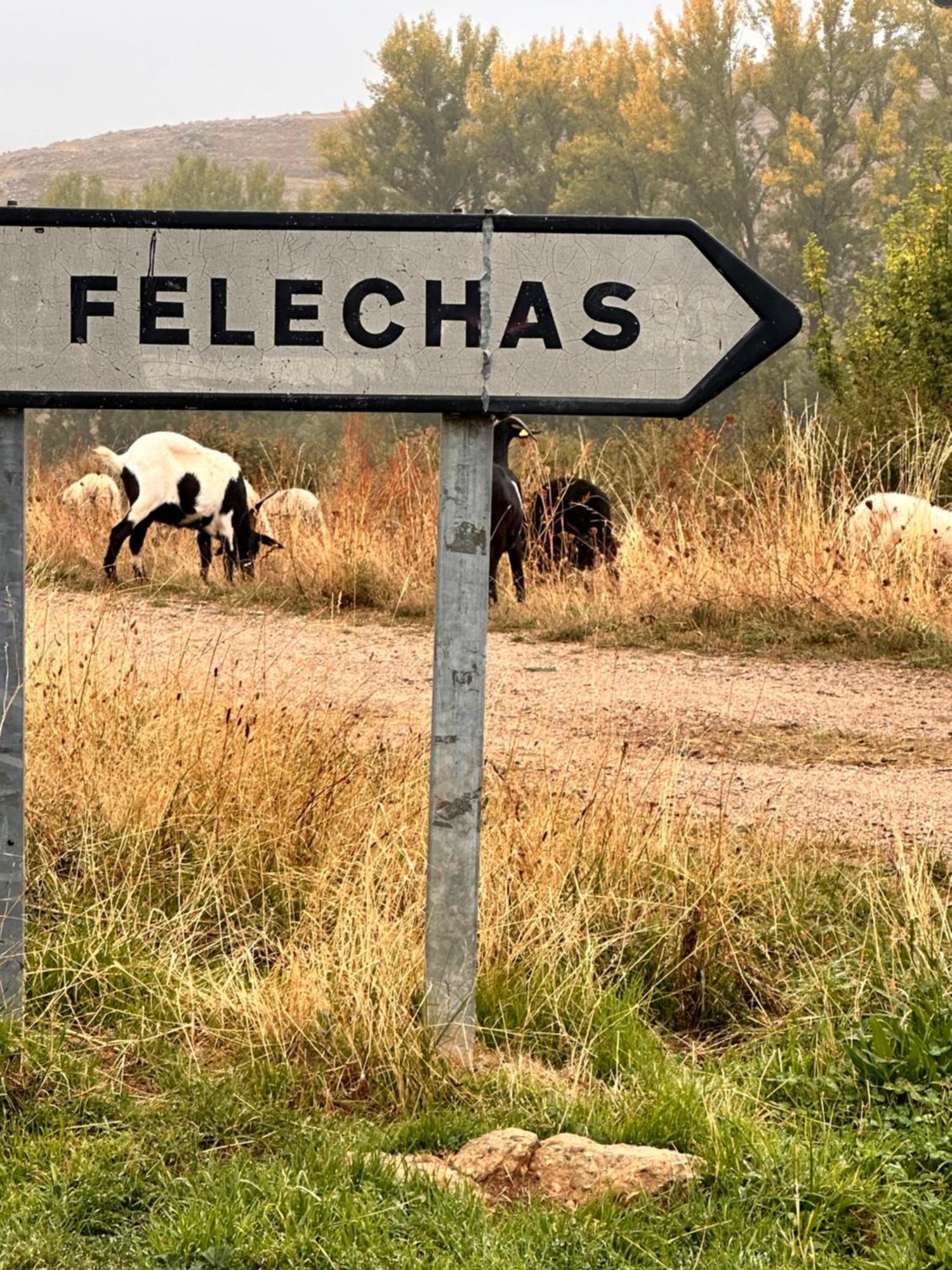 Los Tres Horreos Felechas Eksteriør billede